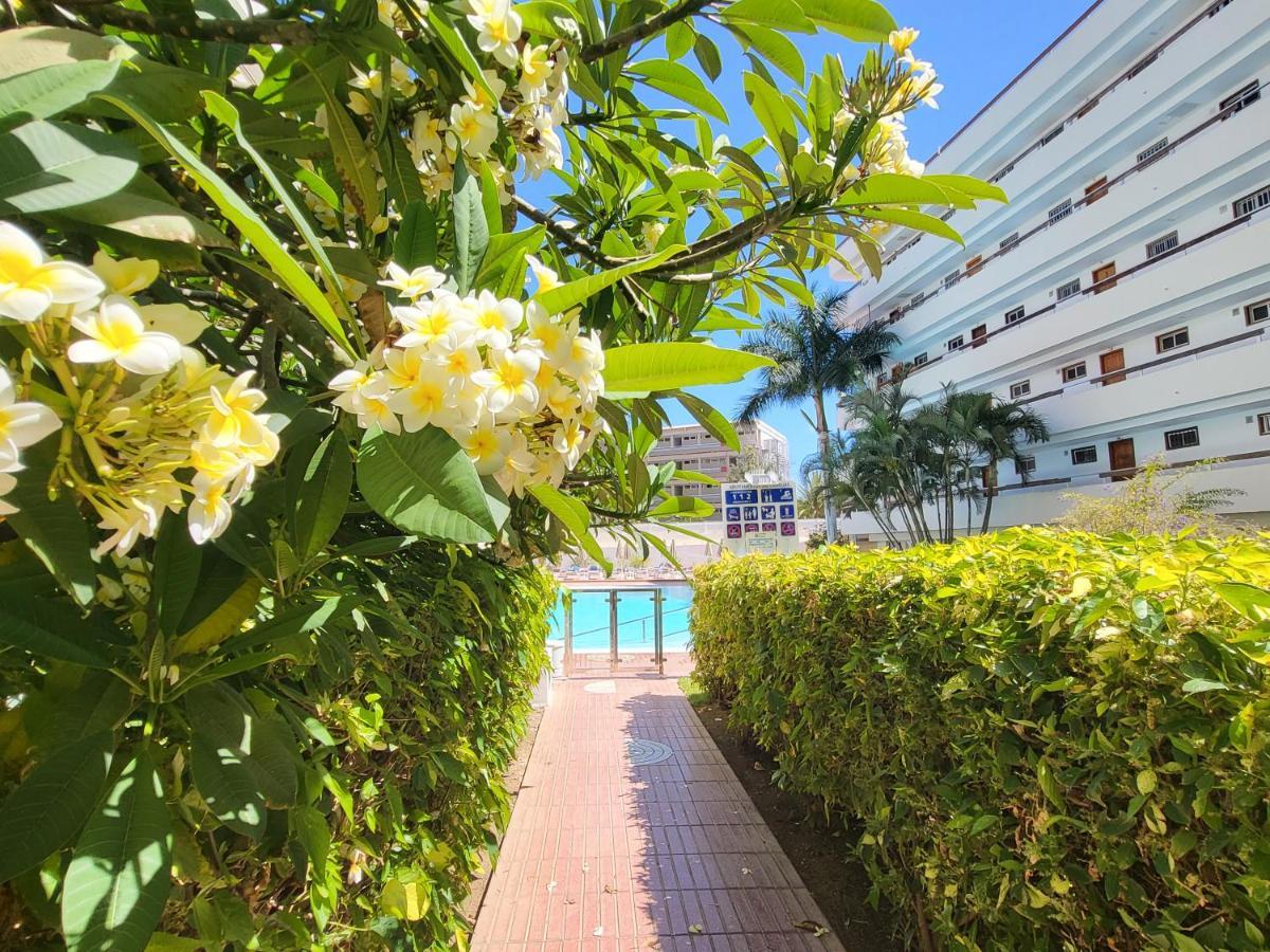 Las Camelias Apartments Playa del Inglés Exterior foto
